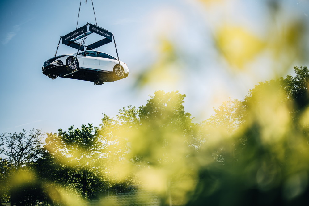 亚历克斯展 亚历克斯展