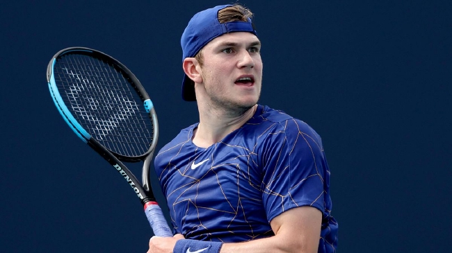 的支持下 的支持下